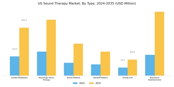 US Sound Therapy Market Segment Image 0