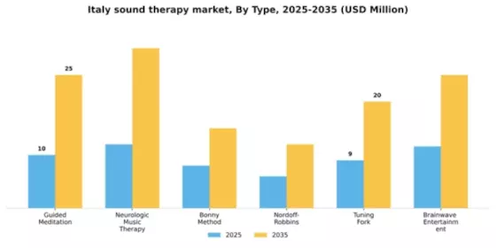 Italy Sound Therapy Market Segment Image 1