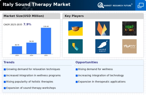 Italy Sound Therapy Market Infographic