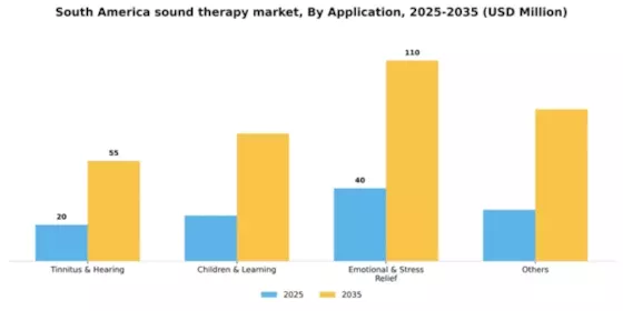 South America Sound Therapy Market Segment Image 0