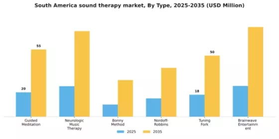 South America Sound Therapy Market Segment Image 1