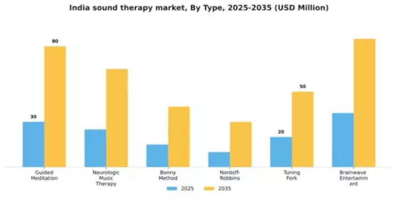 India Sound Therapy Market Segment Image 1