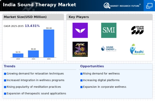 India Sound Therapy Market Infographic
