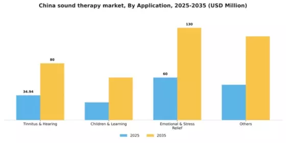 China Sound Therapy Market Segment Image 0