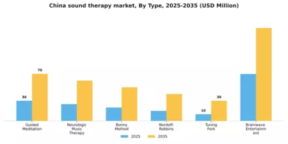 China Sound Therapy Market Segment Image 1