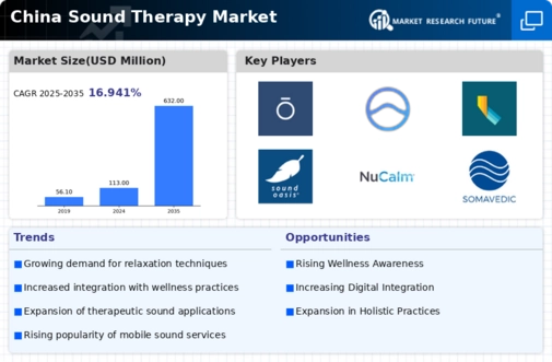 China Sound Therapy Market Infographic