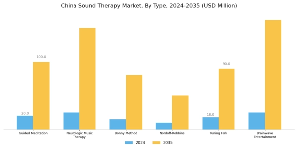 China Sound Therapy Market Segment Image 0
