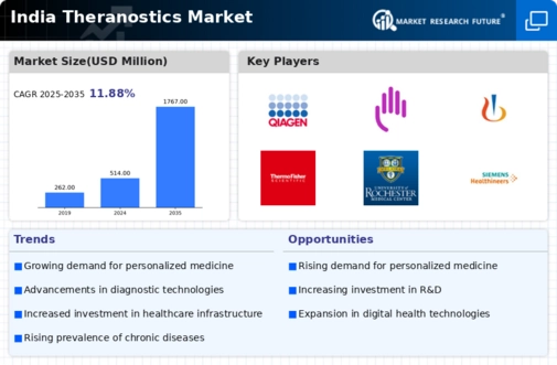 India Theranostics Market Infographic