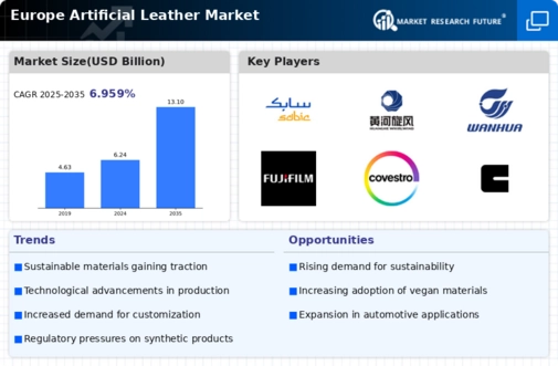 Europe Artificial Leather Market Infographic