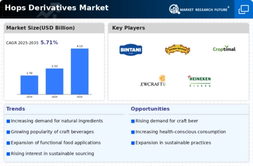 Hops Derivatives Market Infographic