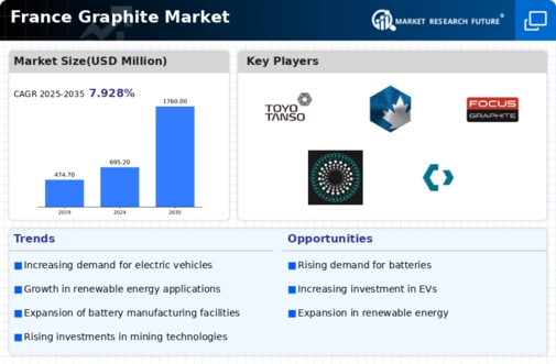 France Graphite Market Infographic