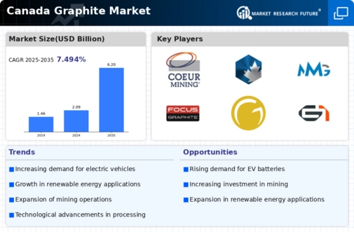 Canada Graphite Market Infographic
