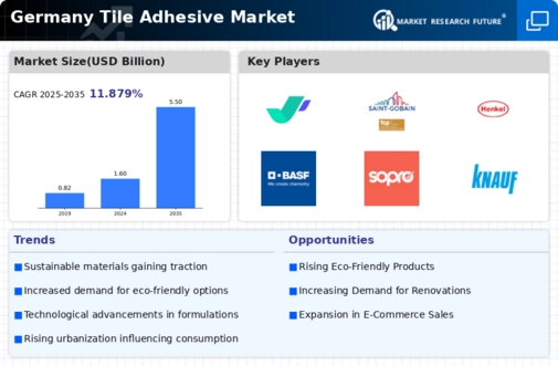 Germany Tile Adhesive Market Infographic