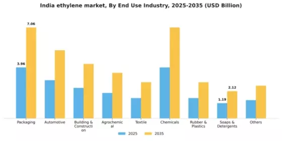 India Ethylene Market Segment Image 1