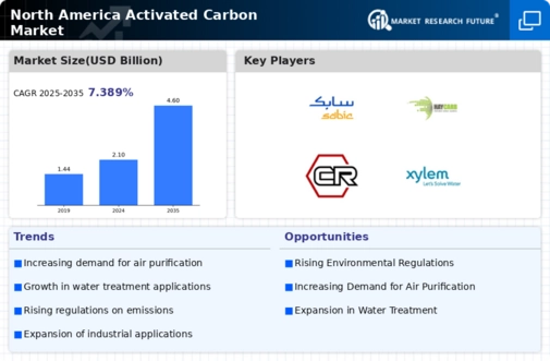 North America Activated Carbon Market Infographic