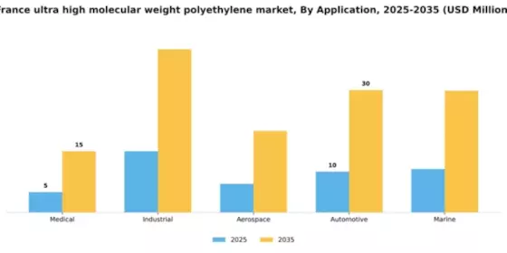 France Ultra High Molecular Weight Polyethylene Market Segment Image 0