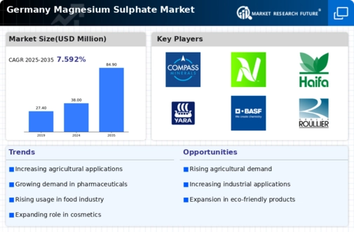 Germany Magnesium Sulphate Market Infographic