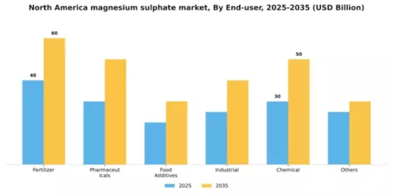 North America Magnesium Sulphate Market Segment Image 0