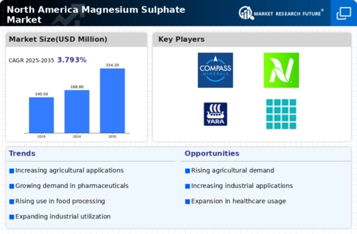 North America Magnesium Sulphate Market Infographic