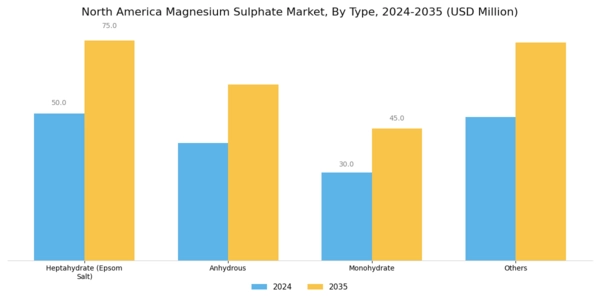 North America Magnesium Sulphate Market Segment Image 1