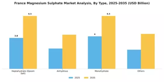 France Magnesium Sulphate Market Segment Image 2