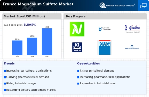 France Magnesium Sulphate Market Infographic