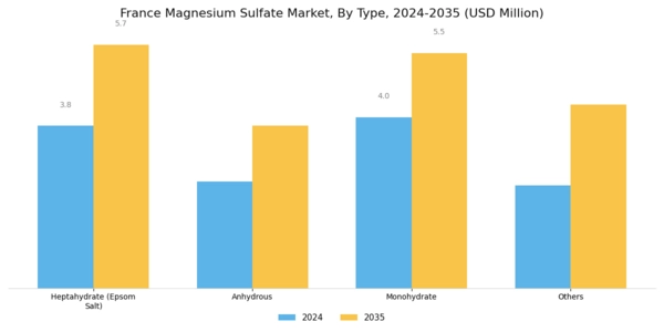 France Magnesium Sulphate Market Segment Image 1