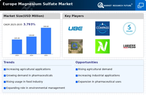 Europe Magnesium Sulphate Market Infographic