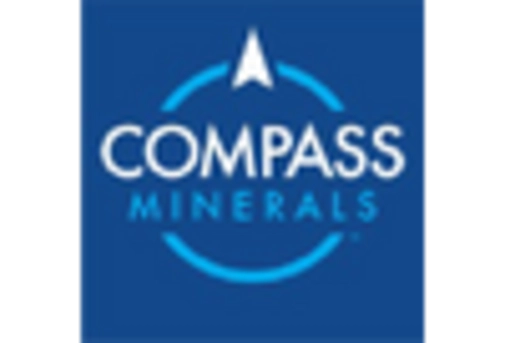 Europe Magnesium Sulphate Market key player