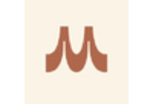 Europe Magnesium Sulphate Market key player