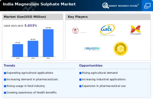 India Magnesium Sulphate Market Infographic