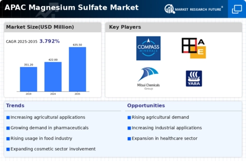APAC Magnesium Sulphate Market Infographic