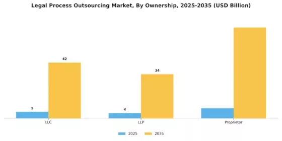 Legal Process Outsourcing Market Segment Image 2