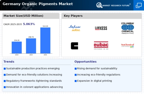 Germany Organic Pigments Market Infographic