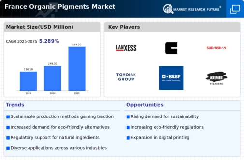 France Organic Pigments Market Infographic