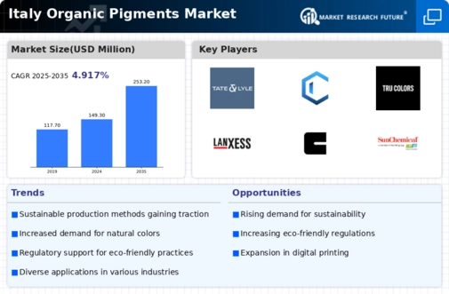 Italy Organic Pigments Market Infographic