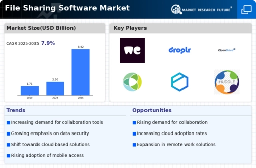 File Sharing Software Market Infographic