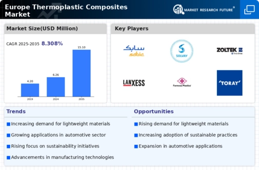 Europe Thermoplastic Composites Market Infographic