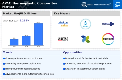 APAC Thermoplastic Composites Market Infographic