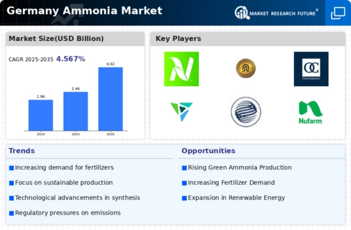 Germany Ammonia Market Infographic