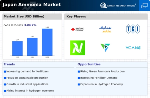 Japan Ammonia Market Infographic