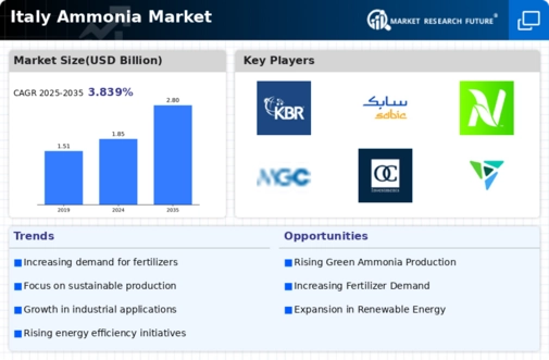 Italy Ammonia Market Infographic