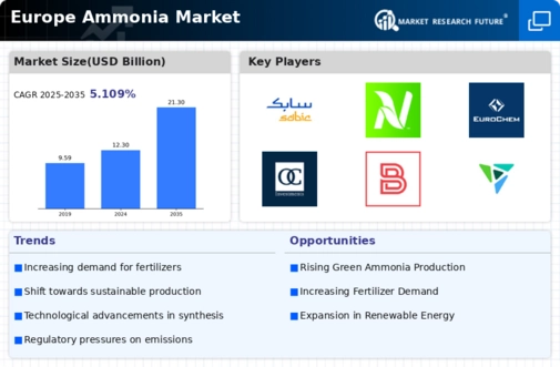 Europe Ammonia Market Infographic