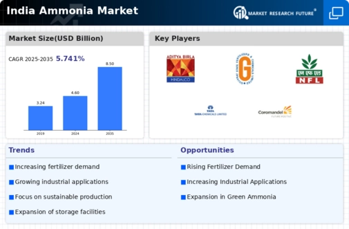 India Ammonia Market Infographic