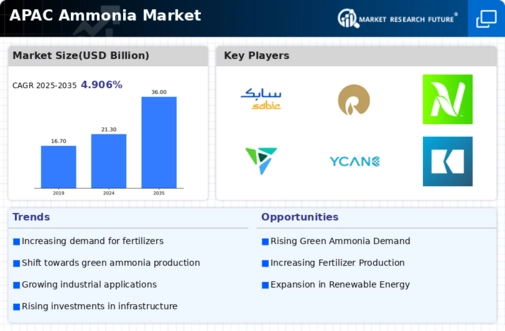 APAC Ammonia Market Infographic
