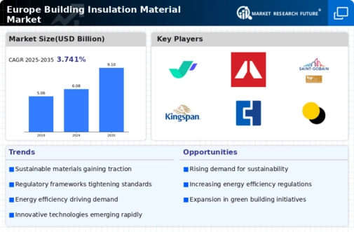 Europe Building Insulation Material Market Infographic