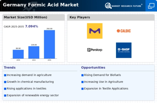 Germany Formic Acid Market Infographic