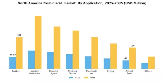North America Formic Acid Market Segment Image 0
