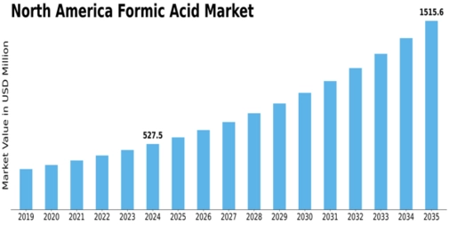 North America Formic Acid Market Size