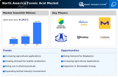 North America Formic Acid Market Infographic